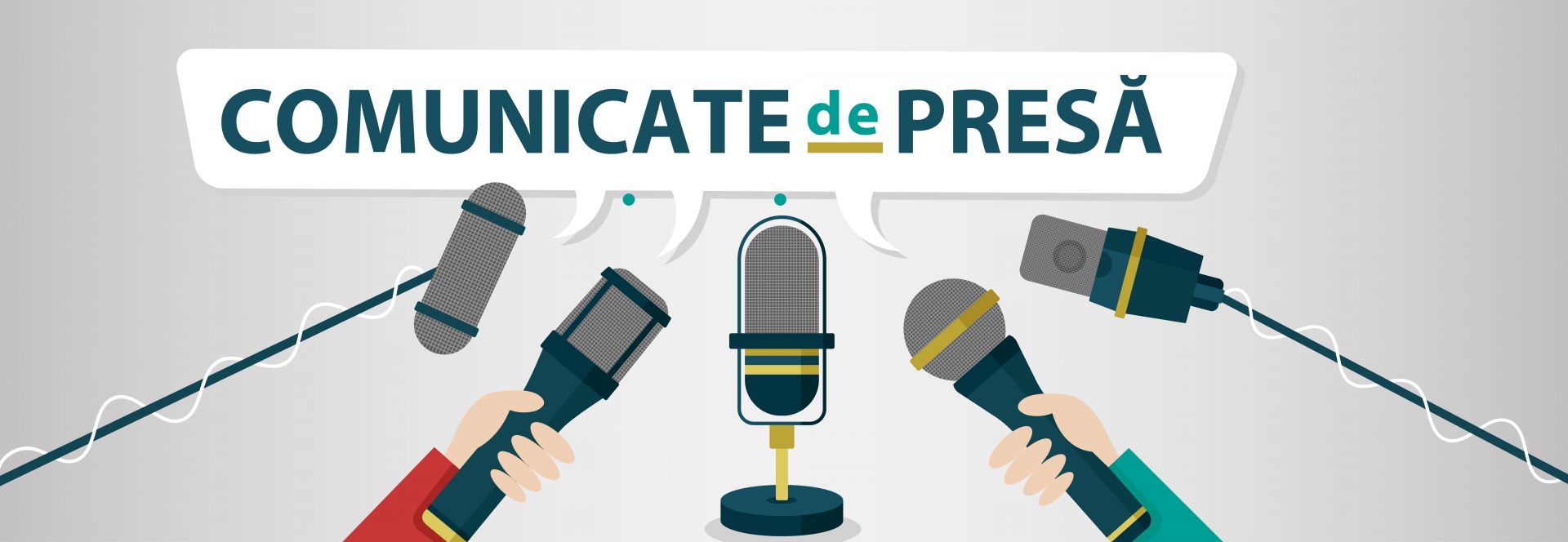Comunicate de presă