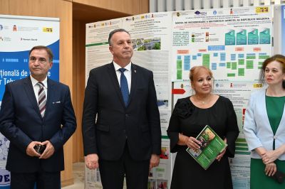 Excelent ideea, 2024